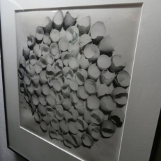 P2050034