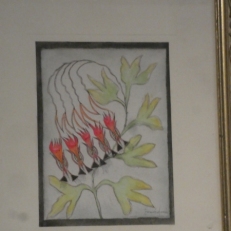 P2050050