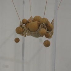 P1870253