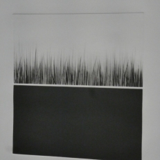 P1870283