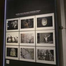 P2070678