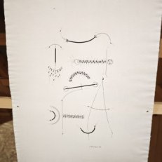 IMG_20250723_141853