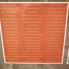 IMG_20250723_141945