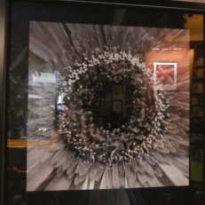 P1960319