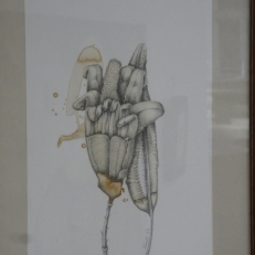 P1930045