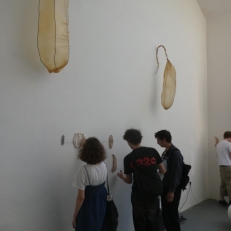 P1910594