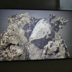P1910604