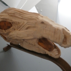 P1910605