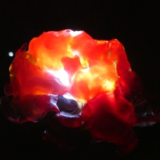 P1910630