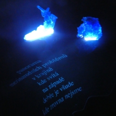 P1910631