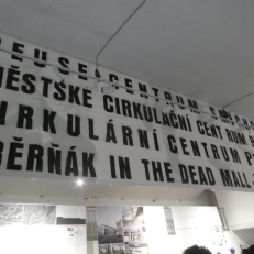 P1910644