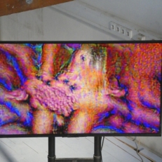 P2110630
