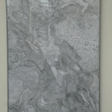P2110652