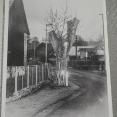 P1900835