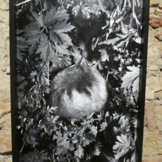 P2130953