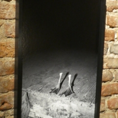 P2130955