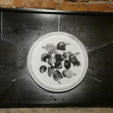 P2130956