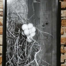 P2130966