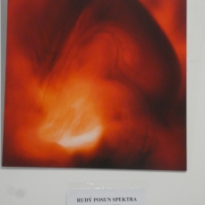 P2130591