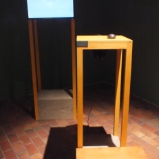 DSCF3172