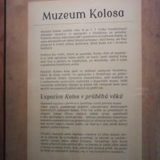 DSCF3173