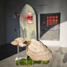 IMG_20260710_184736