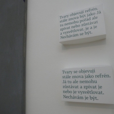 P2060846
