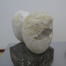 P2060852