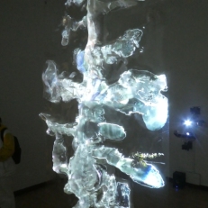 P2060900