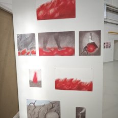 MVIMG_20250919_171155