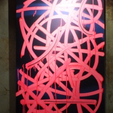 DSCF0080