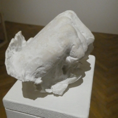 P1900446