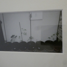 P1900451