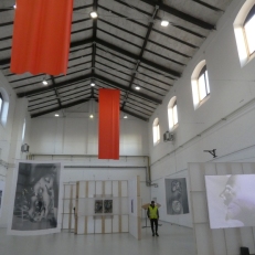 P1960503