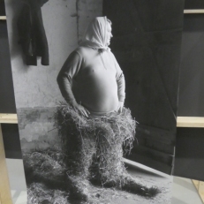 P1960530