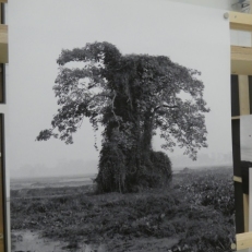 P1960538