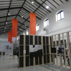 P1960539