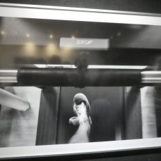 P2140639