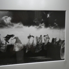 P2130112