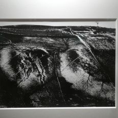 P2130113