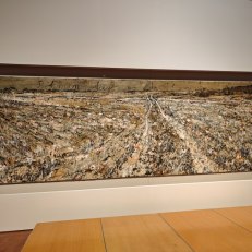 IMG_20260326_095237