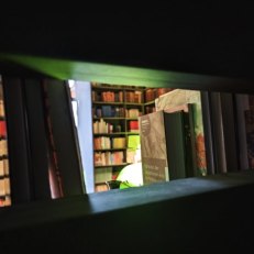 IMG_20260326_103155