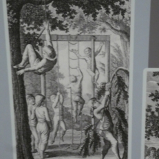P2050231