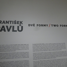 P2100365