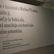 P1050969