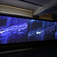 P1050971