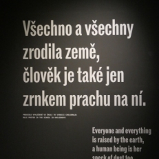 P1050986
