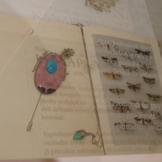 P2080161