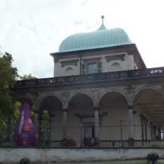 DSCF1131
