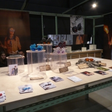 P1960860